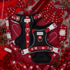 Sunraymascota Arnes Para Perros Dog Walking Set Set Mewah Dog Harness Set Dinaik Taraf Tanpa Tarik Dog Harness dengan Pemegang Empuk Lembut