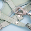 Pettorina anti-trazione regolabile Set di pettorine per cani di lusso premium per cani piccoli e grandi con guinzaglio abbinato | Commercio all'ingrosso OEM/ODM personalizzato