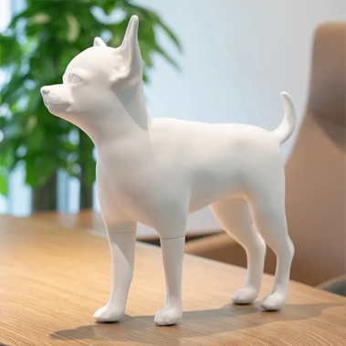 نمایش مانکن سگ: راز ارائه موثر حامل حیوان خانگی چیهواهوا