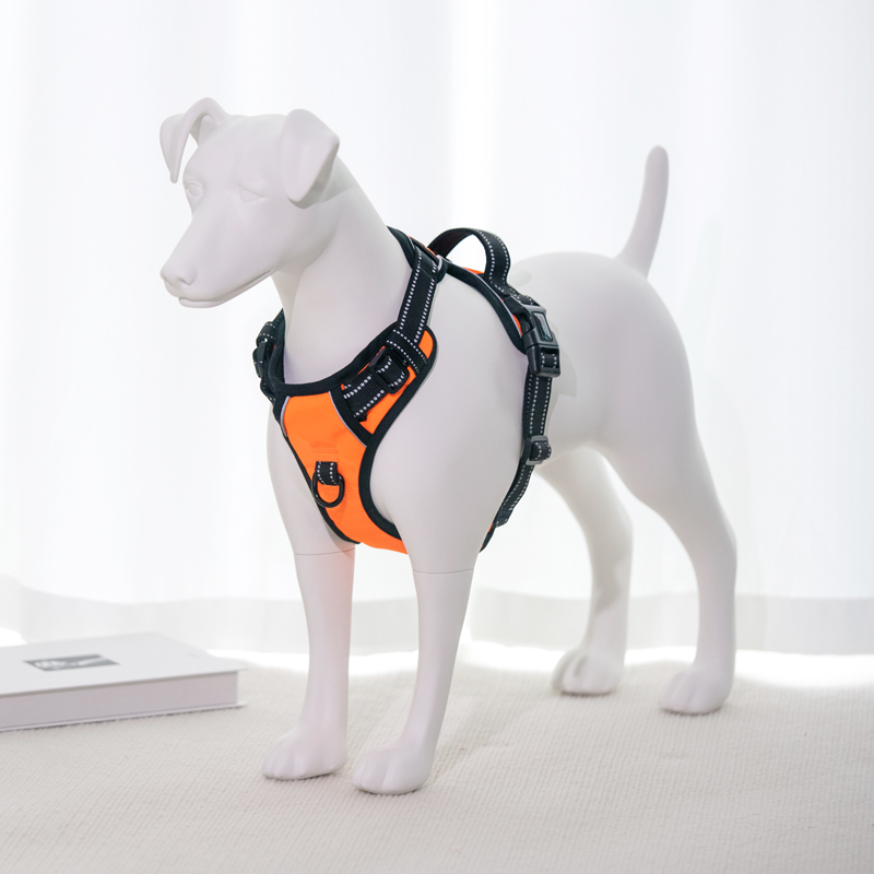 دنیای همه کاره مانکن های سگ: نمایشگرها و برنامه های کاربردی را افزایش می دهد