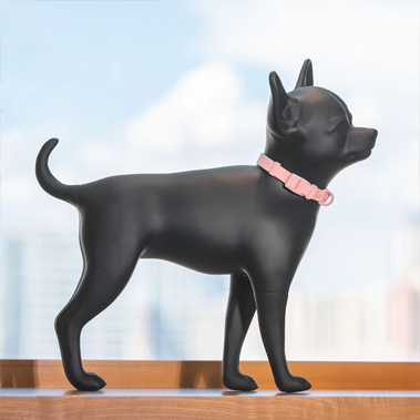 Approuv&eacute; Chihuahua&nbsp;: Comment choisir le bon mannequin pour les v&ecirc;tements pour chiens