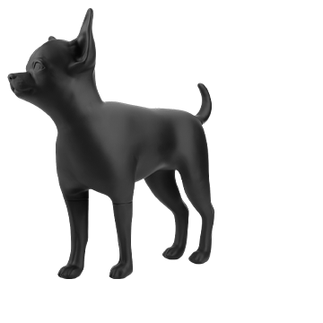 Me pehea te Labrador Retriever Dog Mannequin ki te whakakaha i to Toa