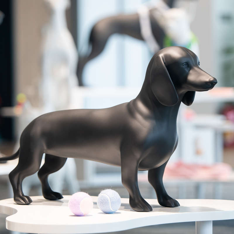 Te Whakamahinga Pai o te Weimaraner Dog Mannequin mo nga Whakaaturanga kakahu mo nga kararehe