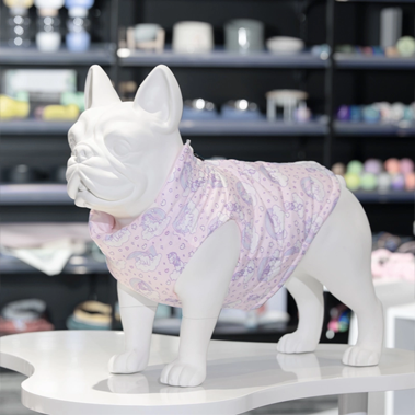 کیٹ واک سے پیٹ واک تک: پالتو جانوروں کے لباس کی نمائش کے لیے فرانسیسی بلڈاگ ماڈلز کا استعمال