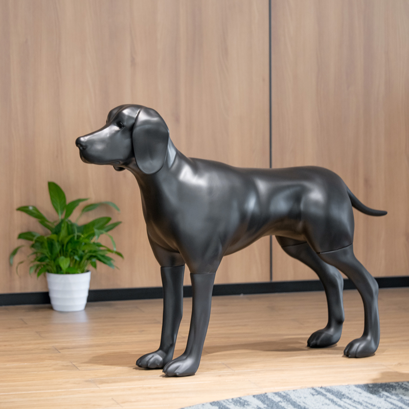 کتے کے پتوں کے جدید استعمال