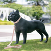 Sunray Mascota หุ่นสุนัขไฟเบอร์กลาส โรงงานขายส่ง Cohors Dog Mannequin 
