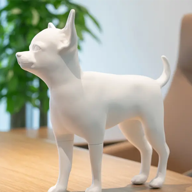 애완동물 의류 디자인 및 프리젠테이션에 고품질 개 모델이 필요한 이유는 무엇입니까?